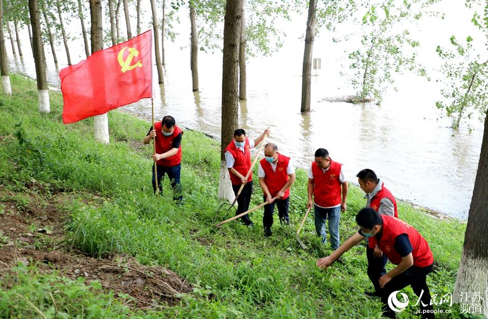 沭陽煙草專賣局機關志愿者在新沂河大堤協助護堤人員巡堤查險。張良攝