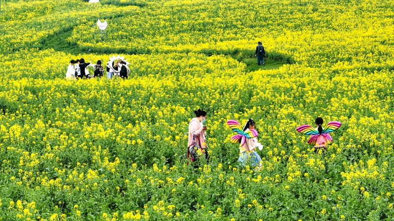  游客深度體驗金花美景。芮沁攝