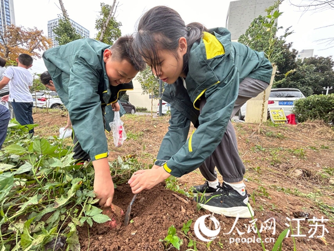 小學生在行知基地開展學農實踐。人民網(wǎng)記者 顧姝姝攝