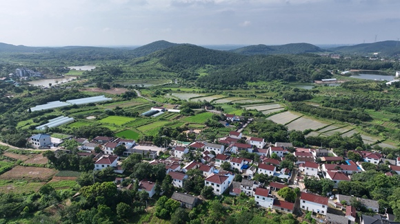 江蘇特色田園鄉村鎮江句容市天王鎮戴莊村。江蘇省住建廳供圖