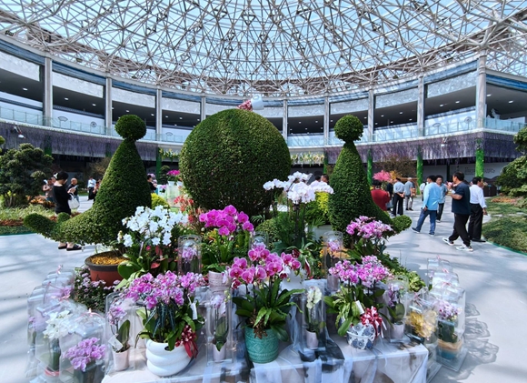 中國(guó)花谷2024金秋花木交易會(huì)現(xiàn)場(chǎng)。丁華明攝